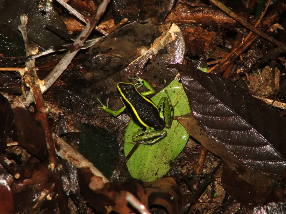 DSCF1385.JPG
