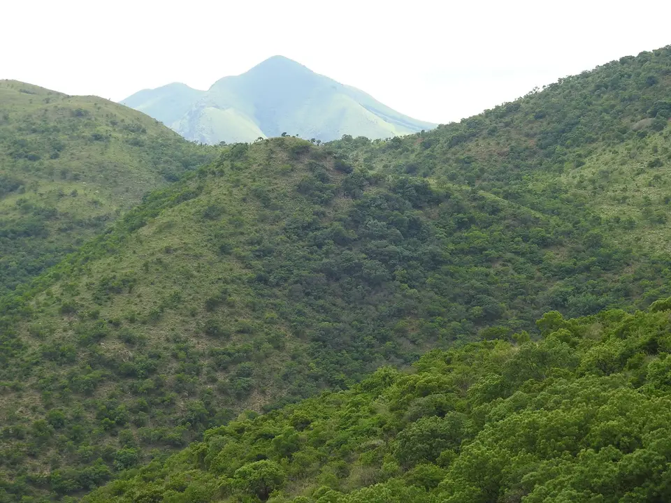 DSCN0571.JPG