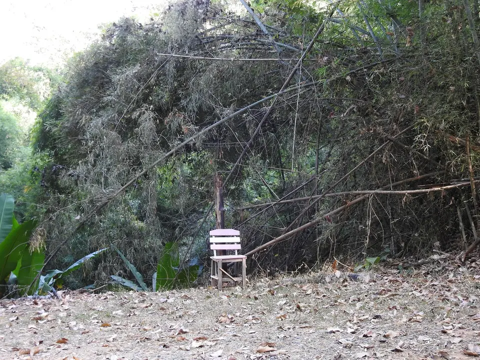 DSCN0940.JPG