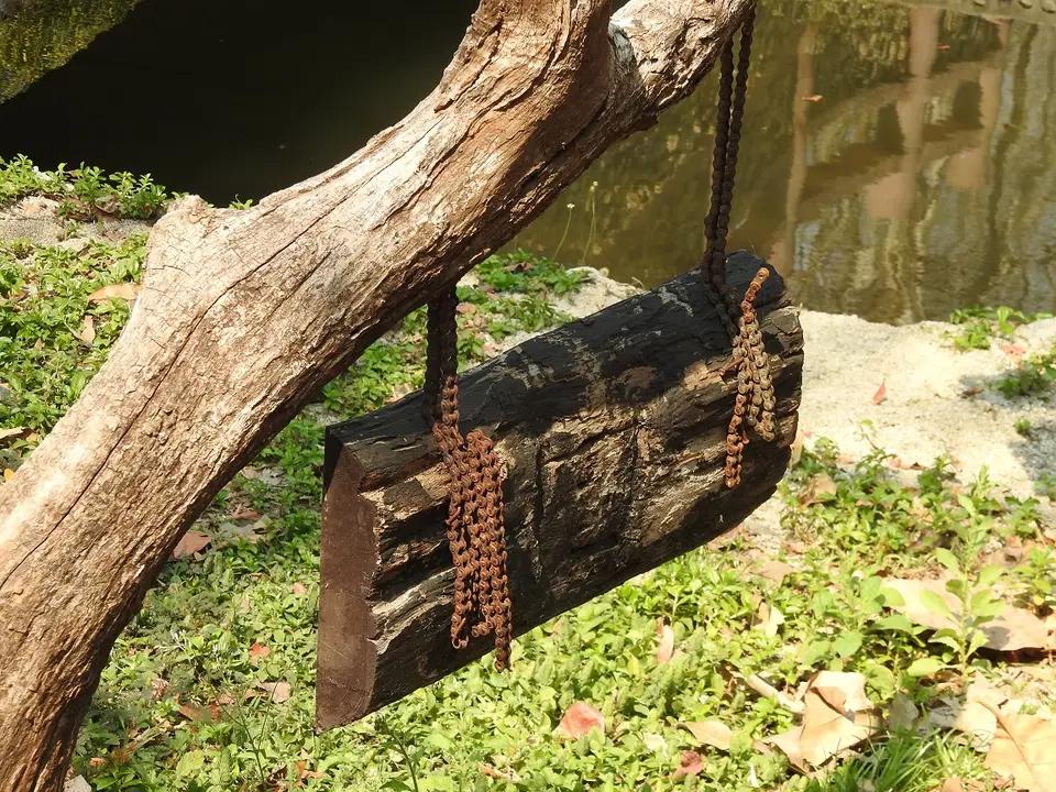 DSCN1091.JPG