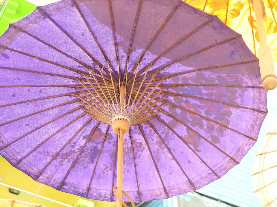 DSCN1998.JPG