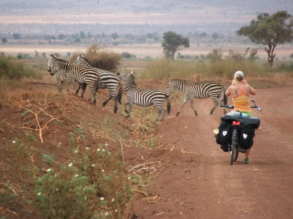 Zebrastreifen-2.jpeg