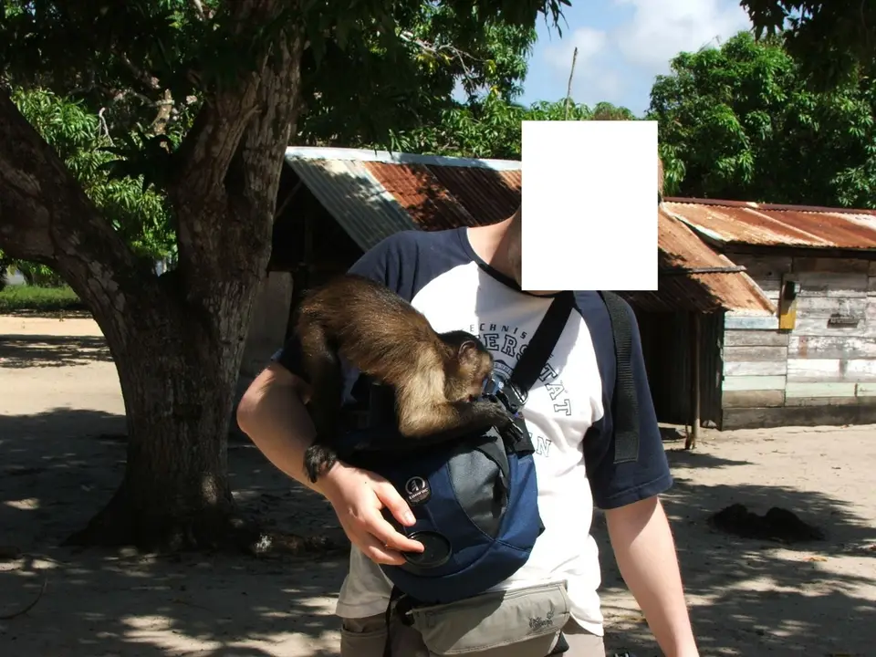 affe1.JPG
