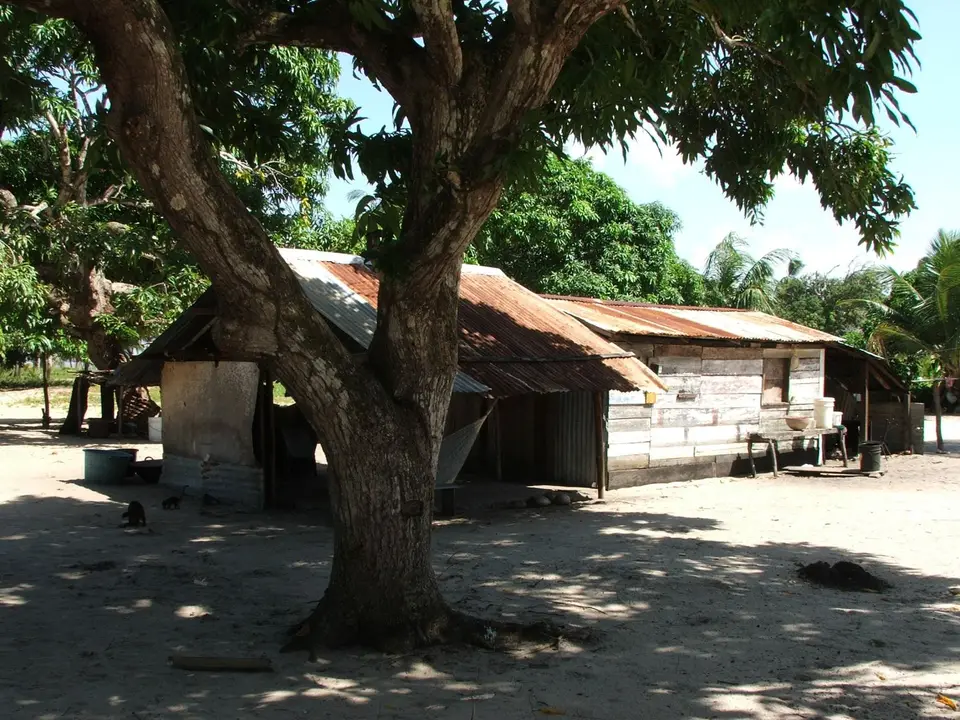galibi2.JPG