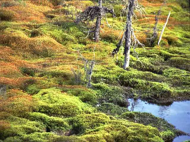 image0503.jpg