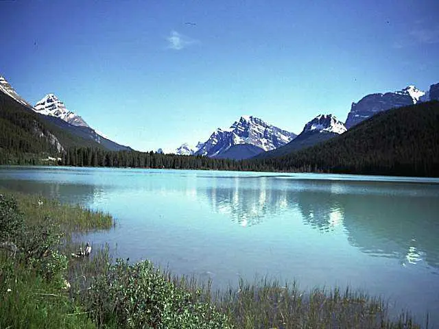 image102.jpg