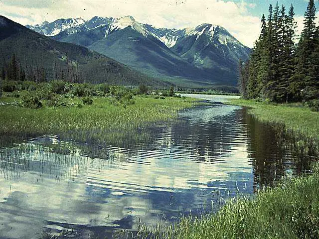 image105.jpg