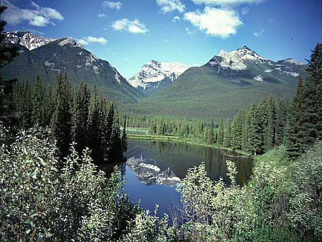 image106.jpg