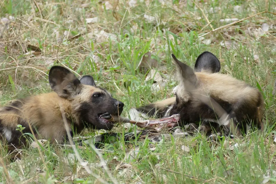 Afrika2014_1046.JPG