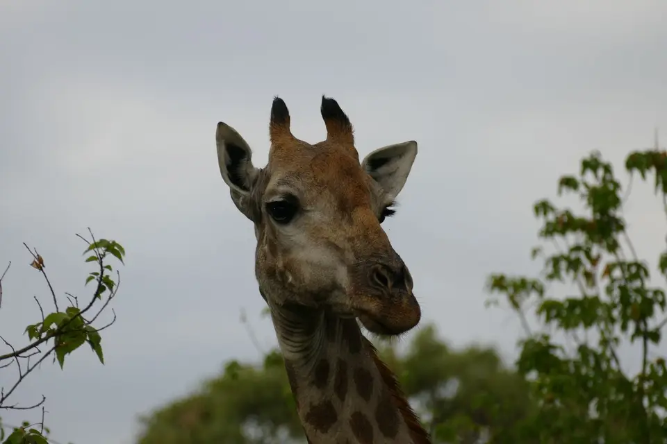 Afrika2014_1284.JPG