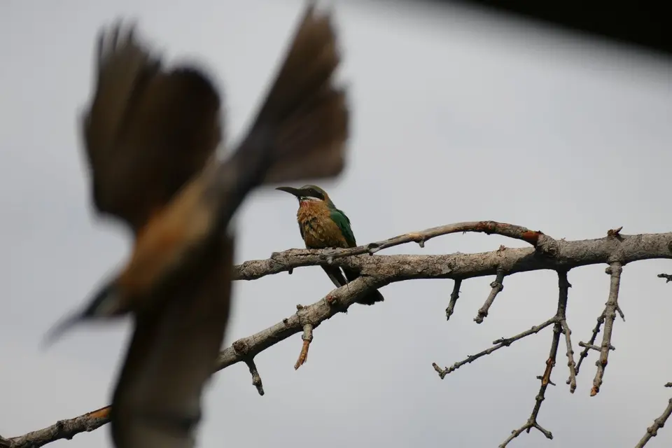 Afrika2014_1354.JPG