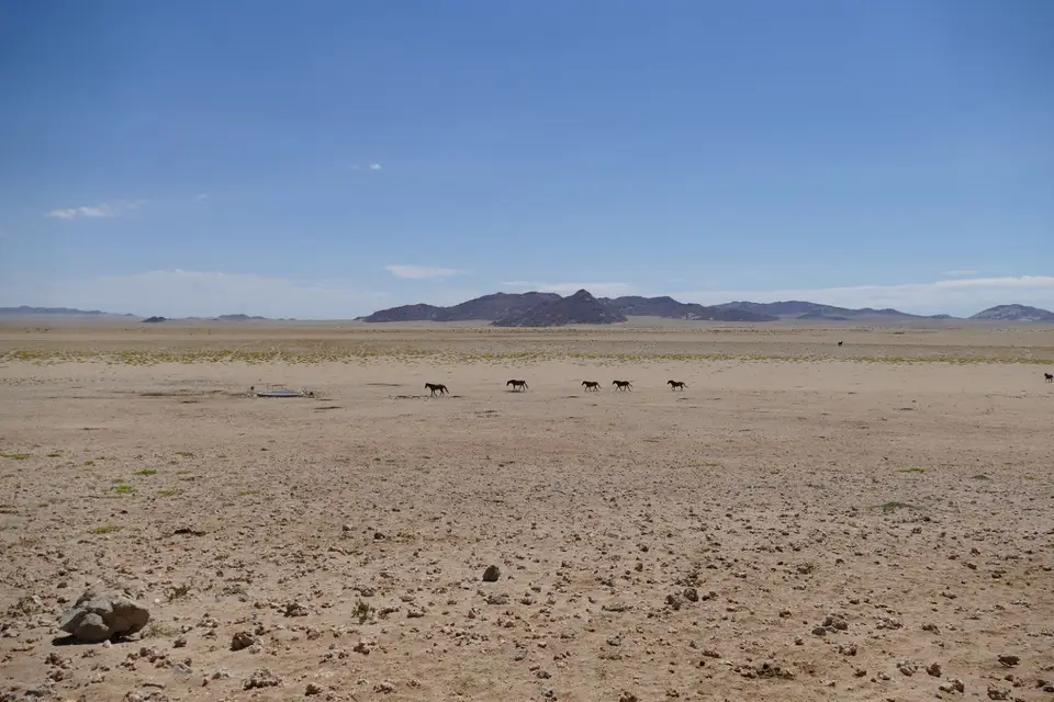 Namibia2018_1279.JPG