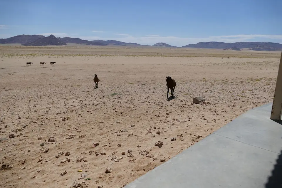 Namibia2018_1290.JPG
