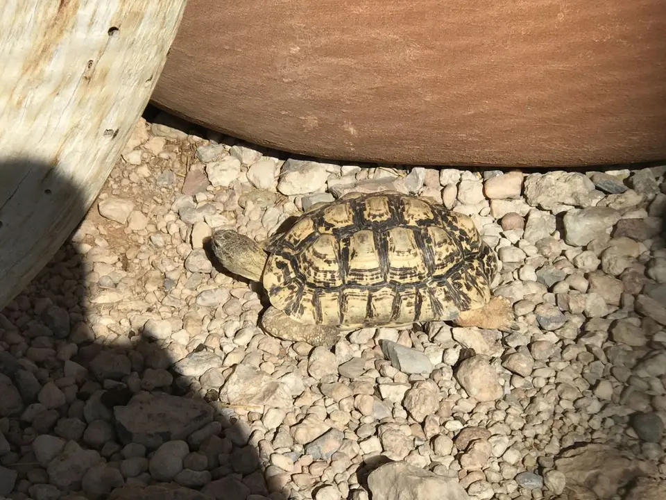 Namibia2018_1704.JPG