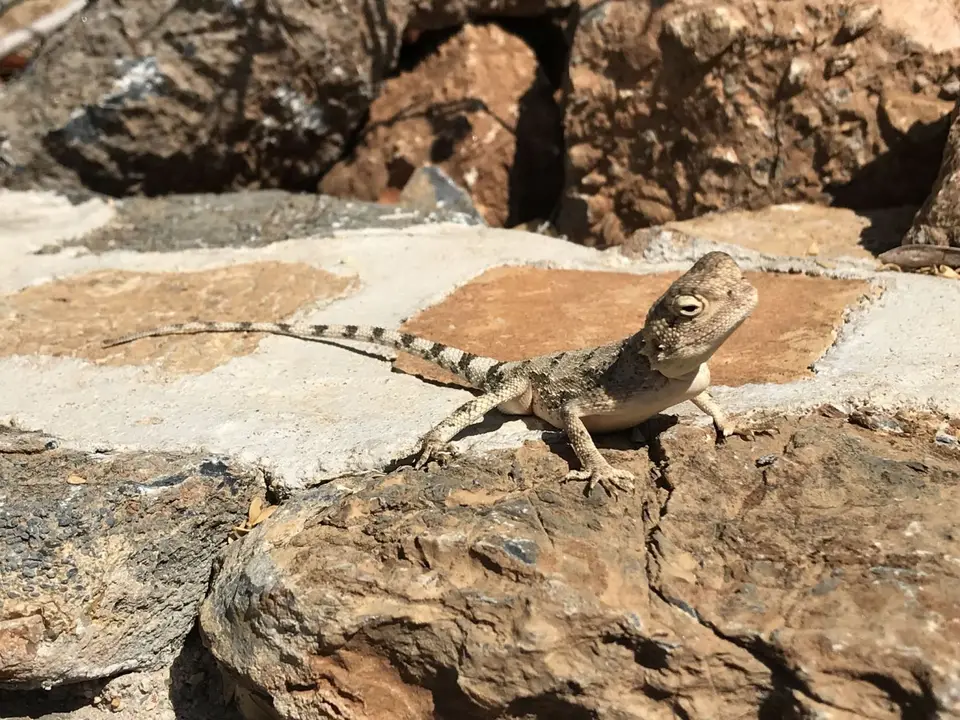 Namibia2018_1707.JPG