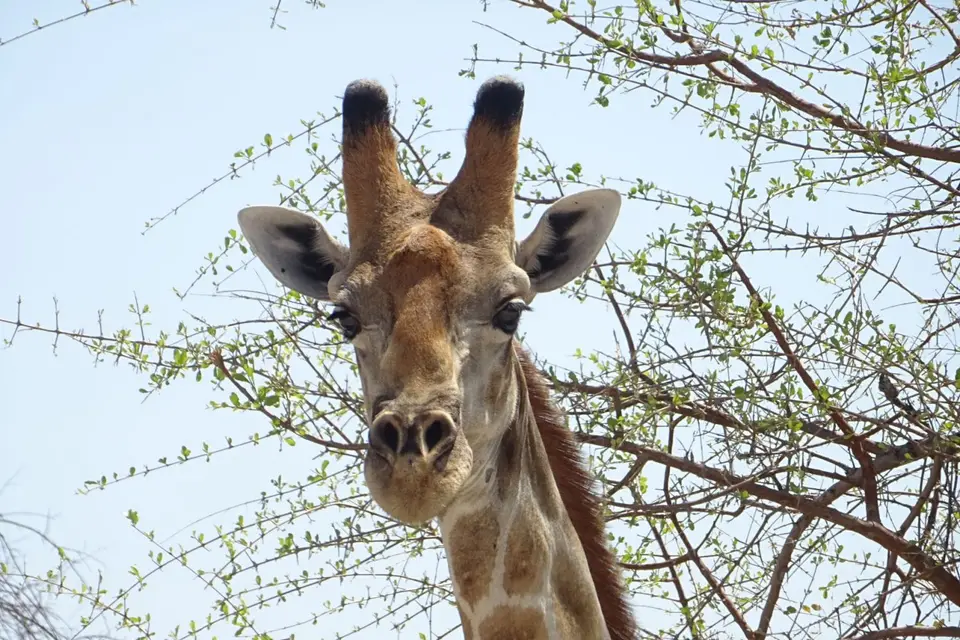 Namibia2018_1734.2.JPG