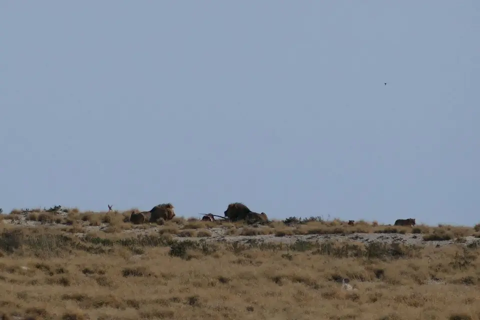 Namibia2018_1792.JPG
