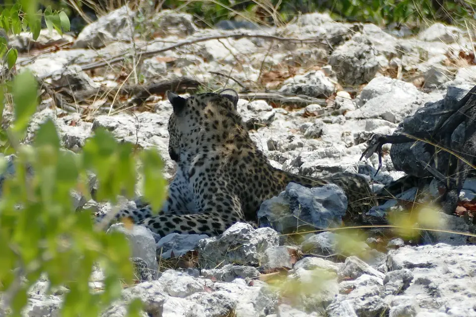 Namibia2018_1808.JPG