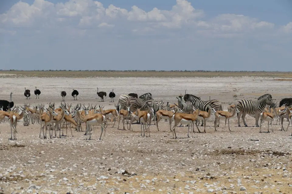 Namibia2018_1832.JPG