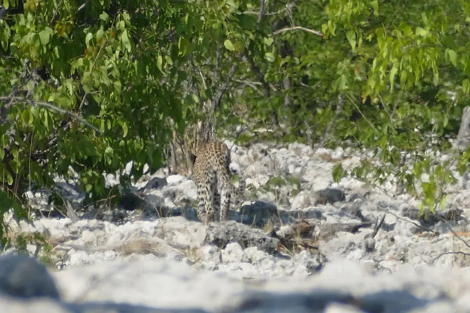 Namibia2018_1862.JPG