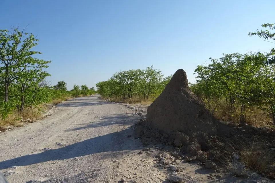 Namibia2018_1880.JPG