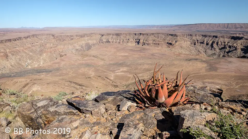 20190415-DSCF4526.jpg