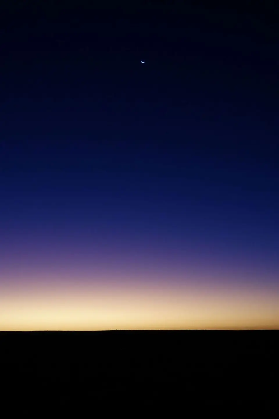 119.JPG