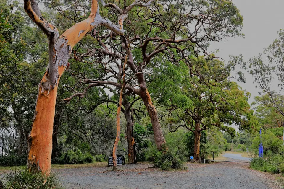 545.JPG