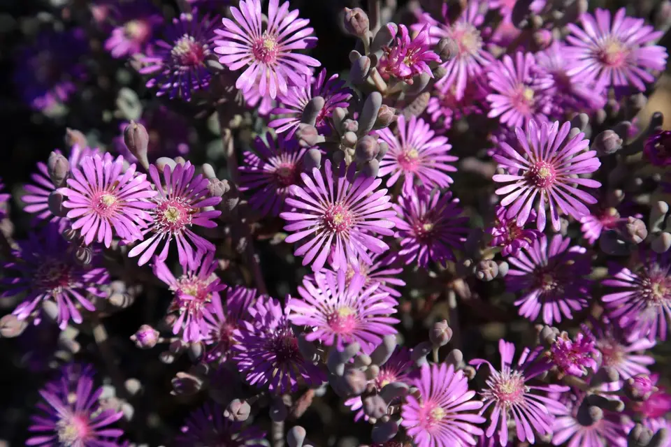 56.JPG