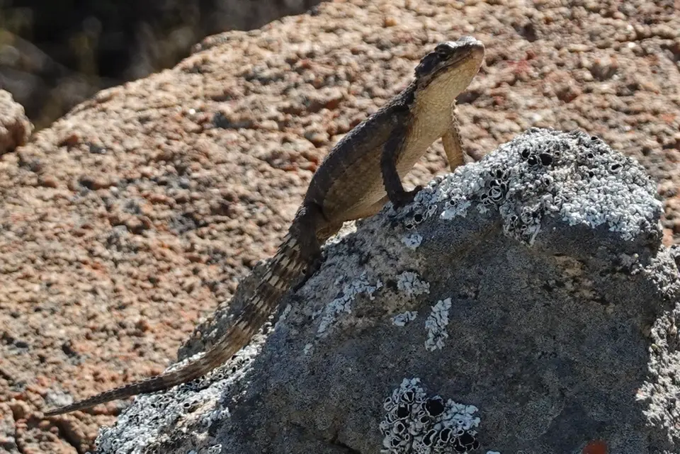 63-2-3-4.JPG