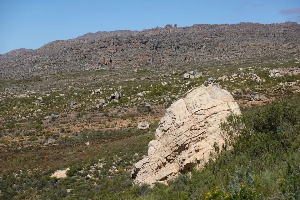 97.JPG