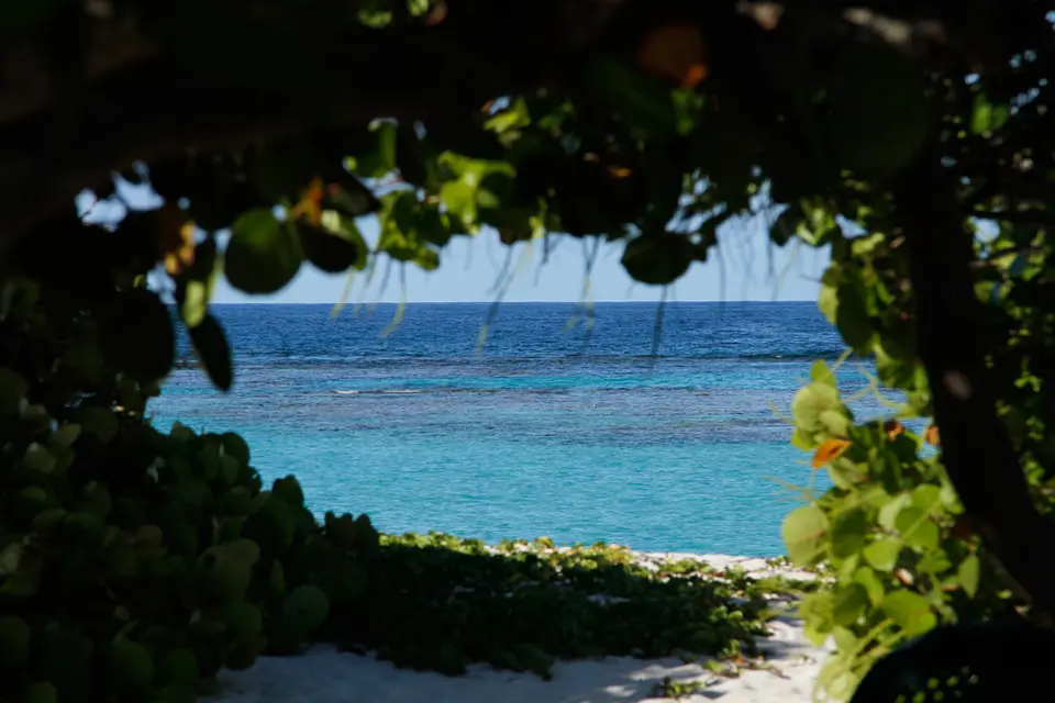 BVI100.jpg