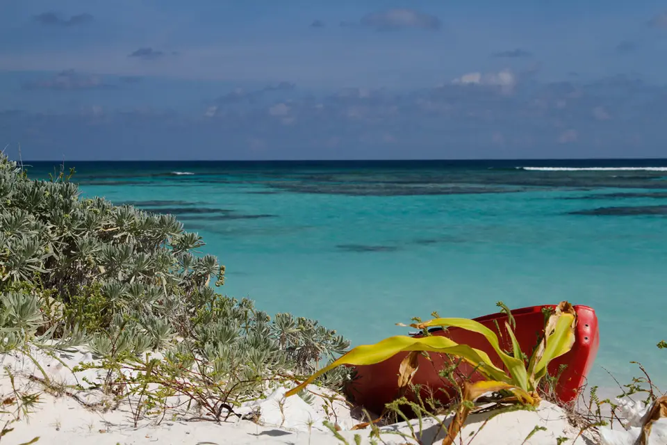 BVI109.jpg