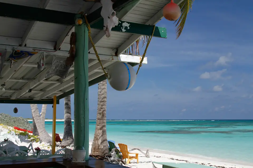 BVI113.jpg
