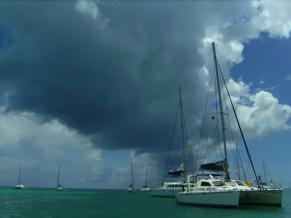 BVI117.jpg