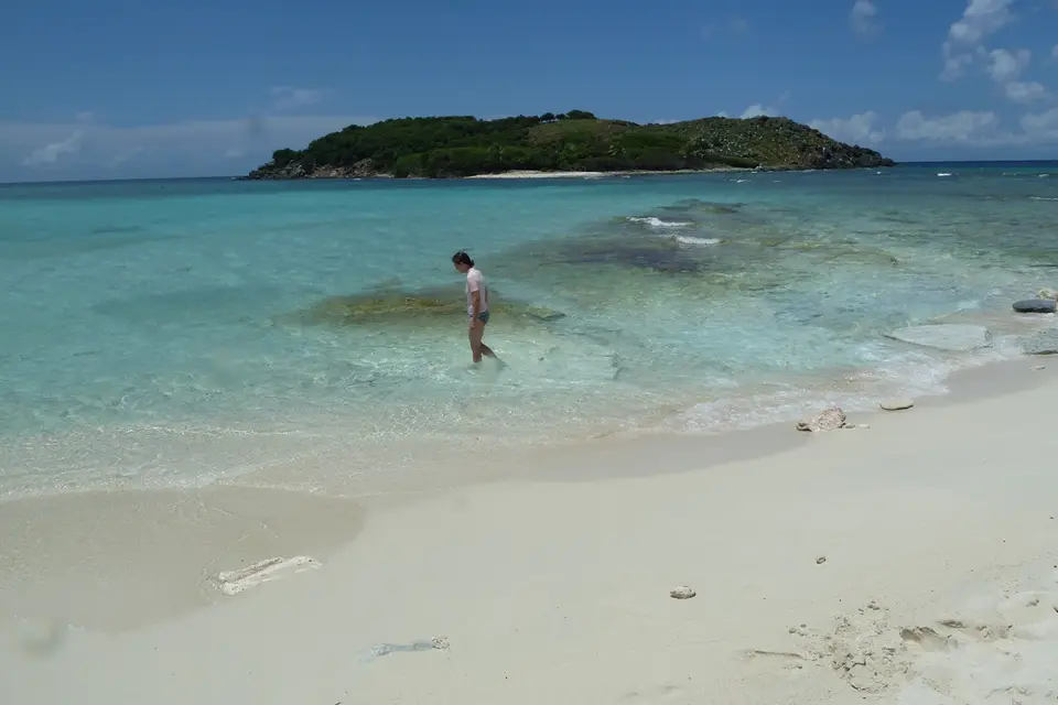 BVI151.jpg