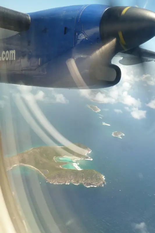 BVI323.jpg