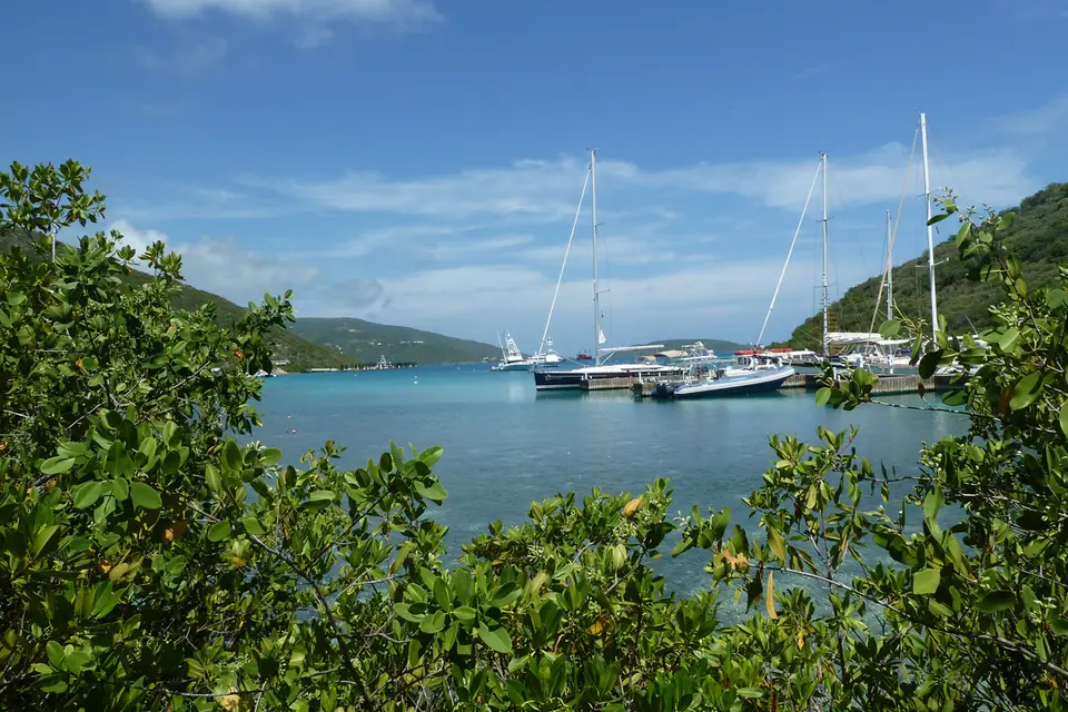 BVI52a.jpg