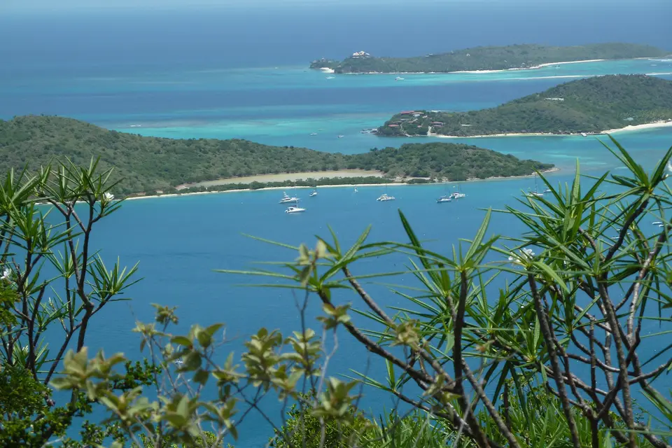 BVI70.jpg