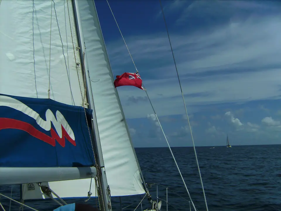 BVI77.jpg