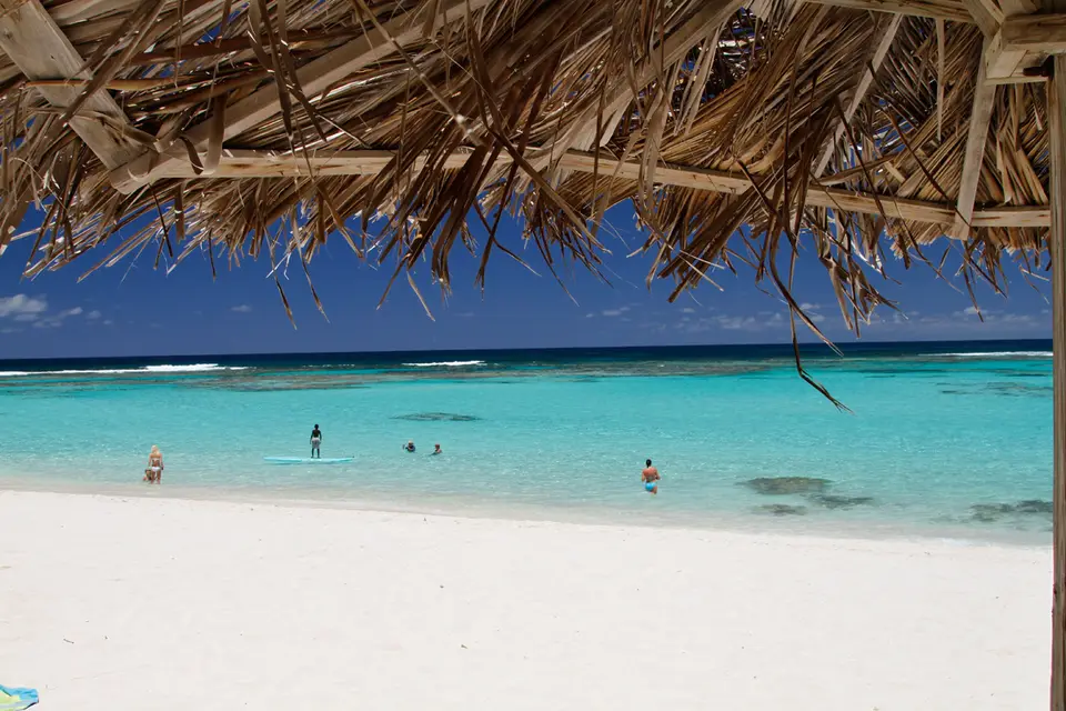 BVI94.jpg