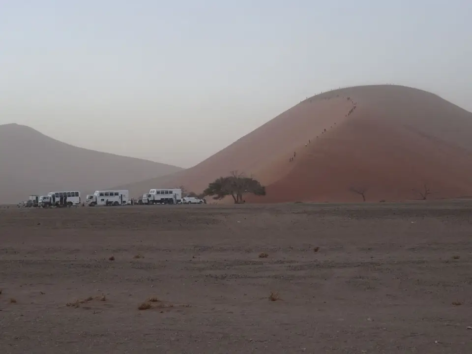 DSC00165.JPG