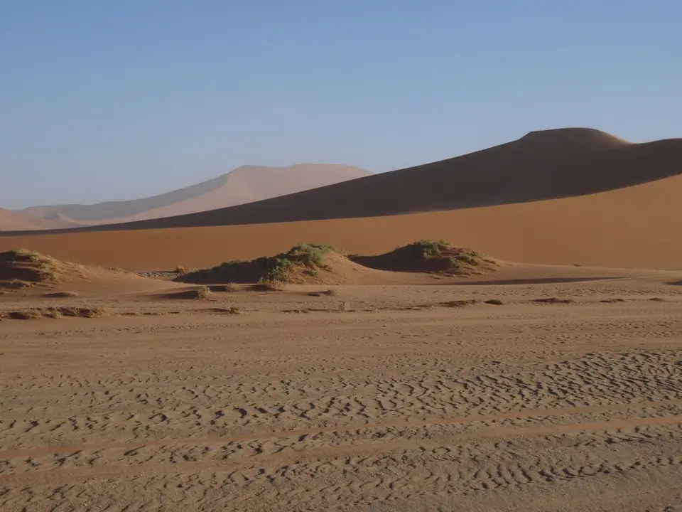 DSC00220.JPG