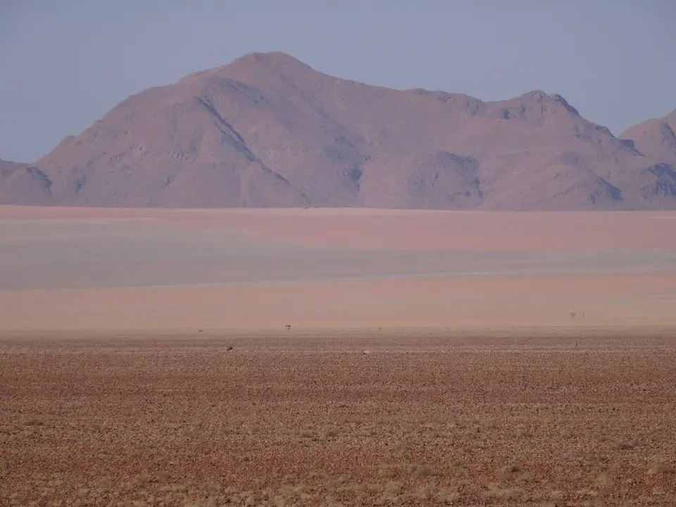 DSC00787.JPG