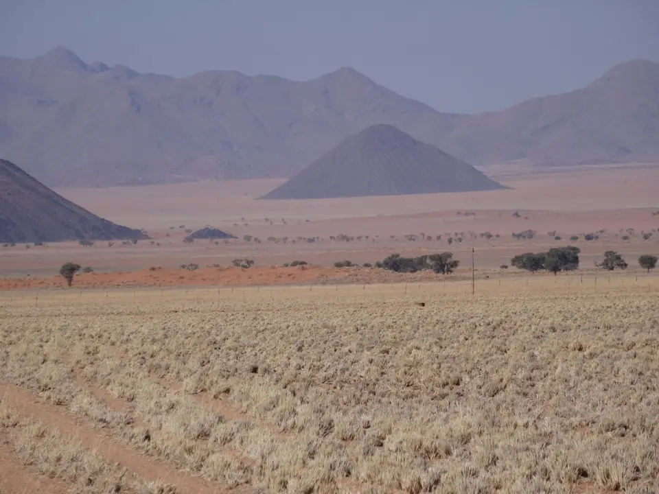 DSC00821.JPG