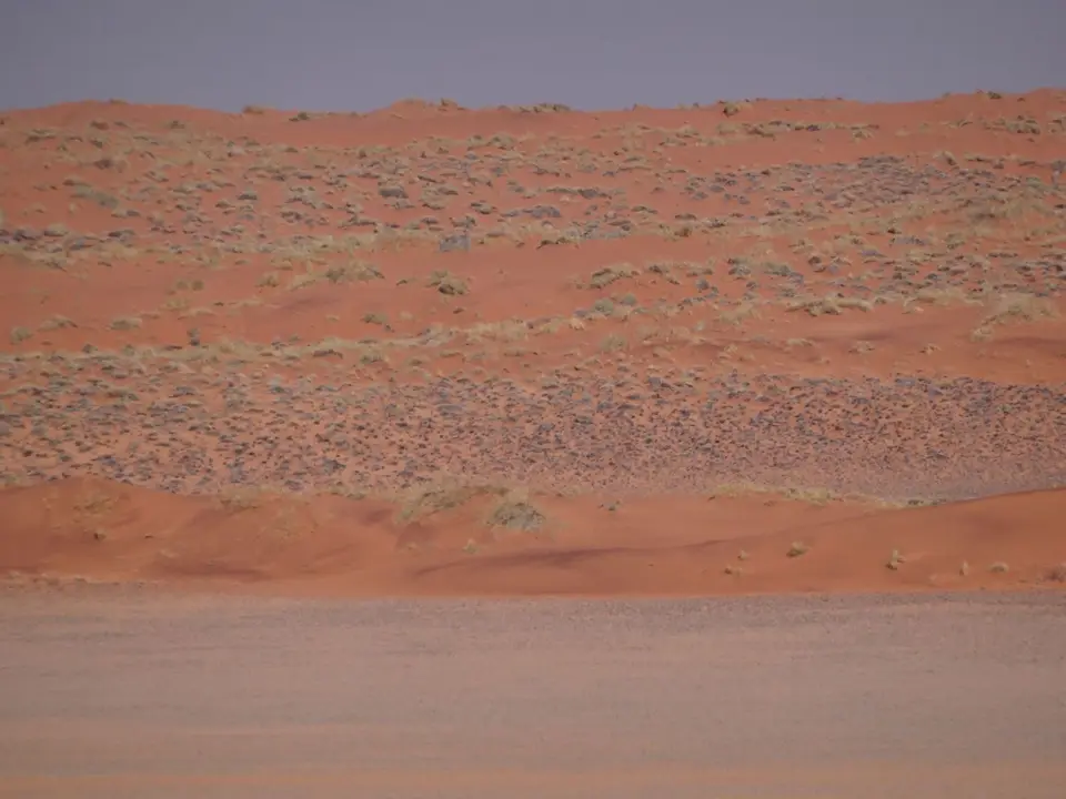 DSC00859.JPG