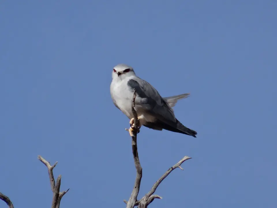 DSC01176.JPG