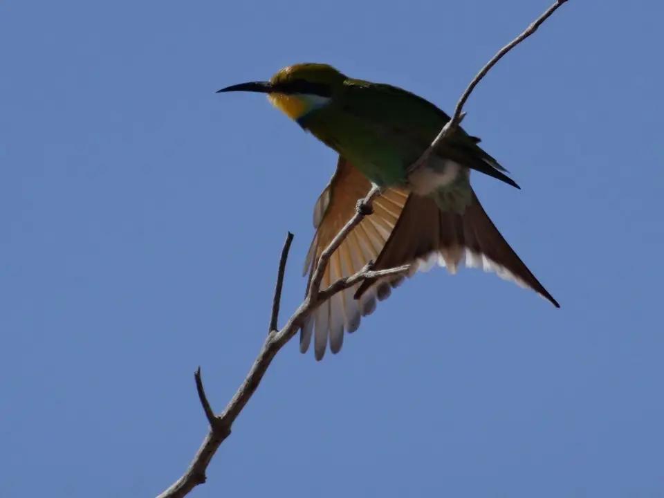 DSC01246.JPG