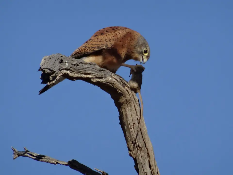 DSC01410.JPG