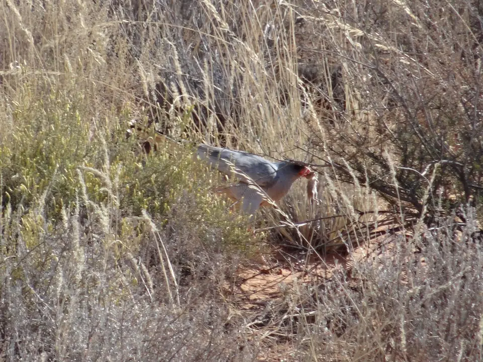 DSC01441.JPG